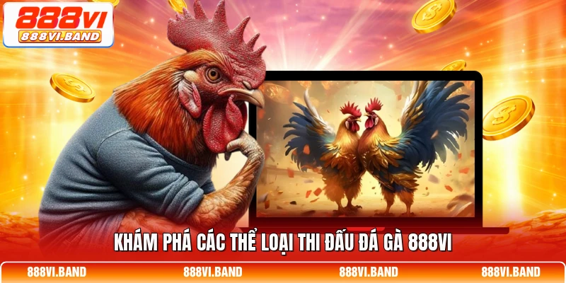 Khám phá các thể loại thi đấu đá gà 888vi