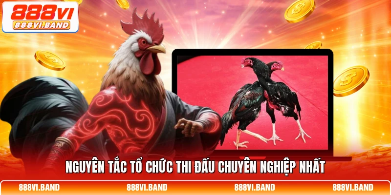 Nguyên tắc tổ chức thi đấu chuyên nghiệp nhất