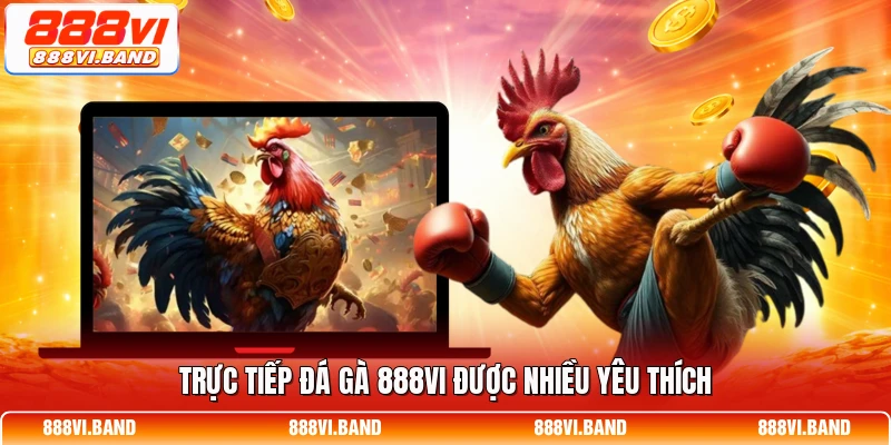 Trực tiếp đá gà 888vi được nhiều yêu thích